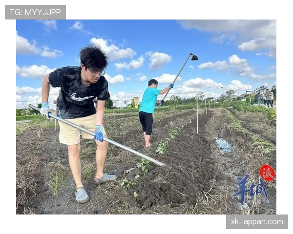 竞技到哲学，山东泰山从底蕴豪门到战术“撞墙”，夺冠路上最缺什么？