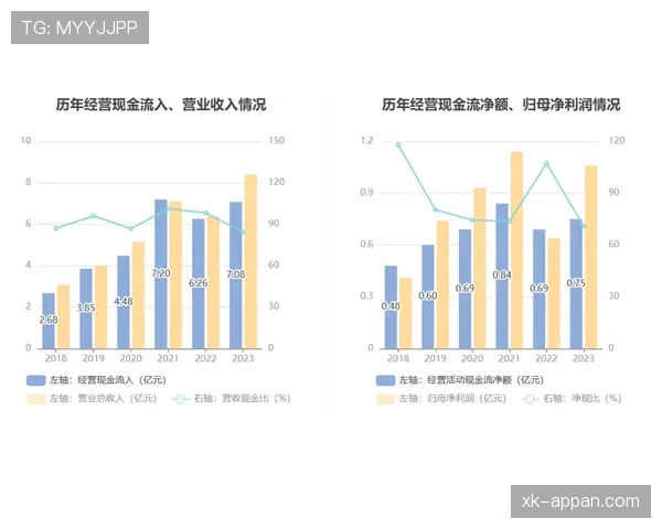帕利尼亚攻防转换中的破坏作用解析